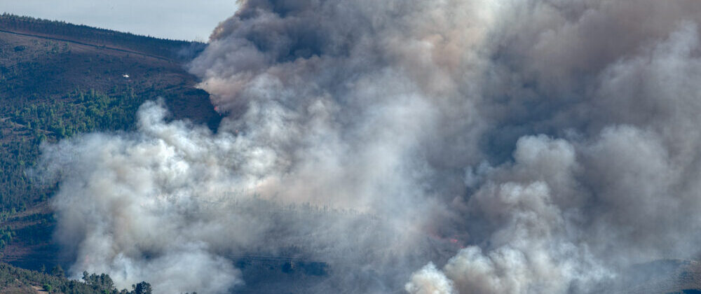Incendi boschivi in Europa