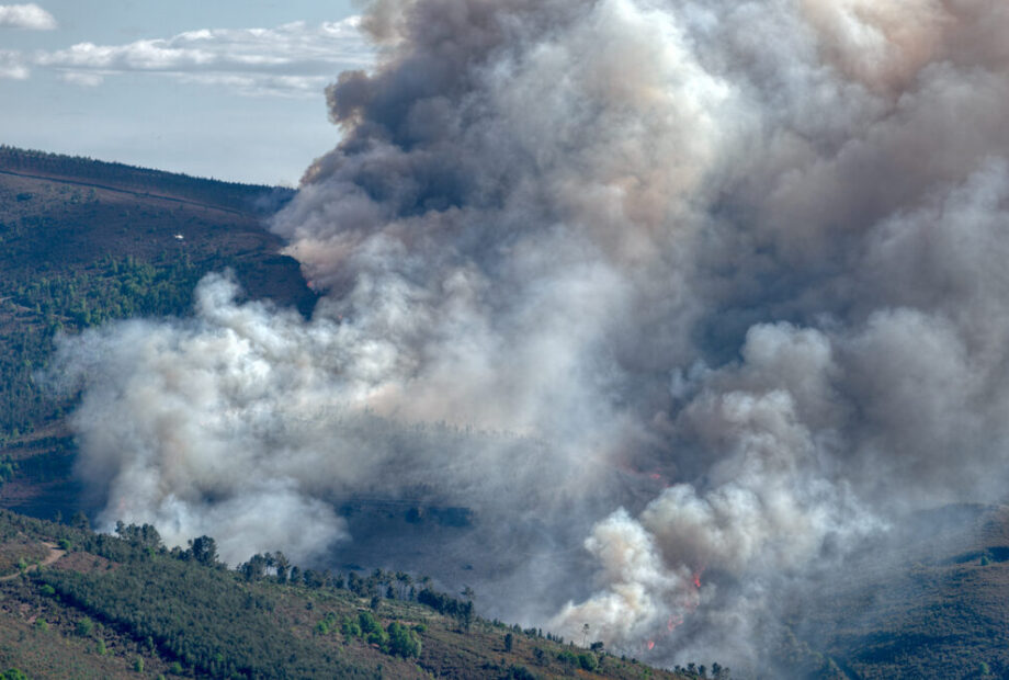Incendi boschivi in Europa