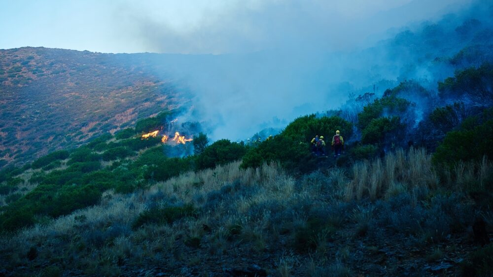 Emergenza incendi a Palermo: oltre 540 interventi dei Vigili del Fuoco in una settimana