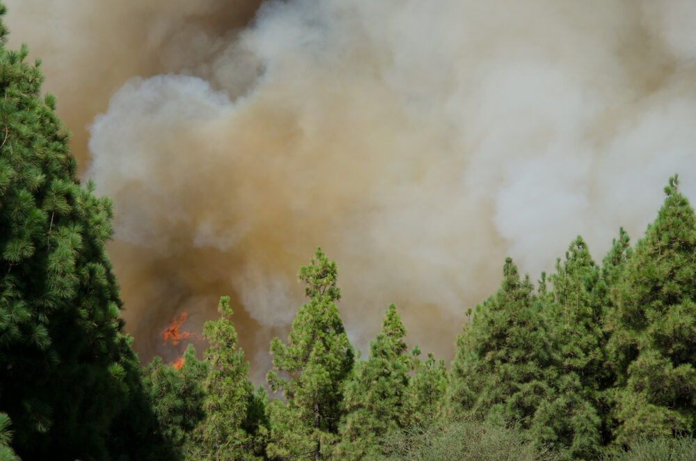 Incendi nella Gironda