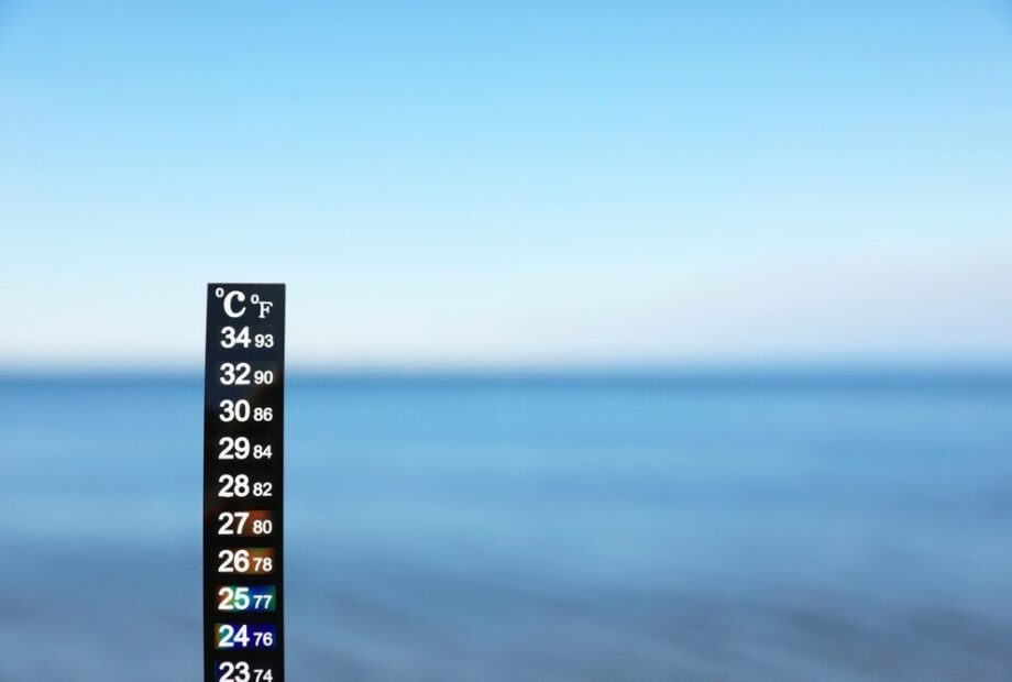 Temperatura superficiale del mare record