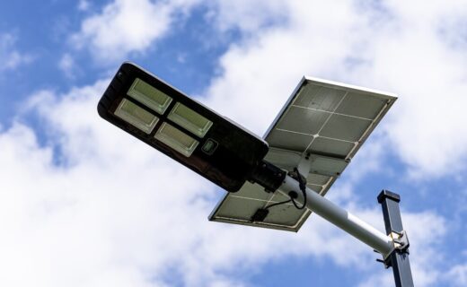 Ortaggi a foglia coltivati con luce ottimizzata